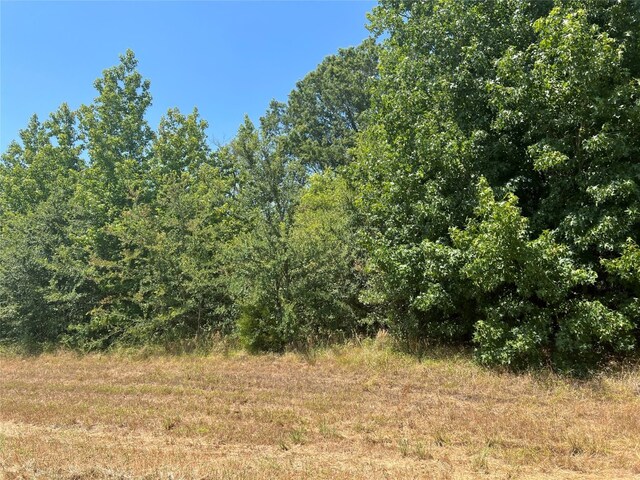 000 Fm 3042, Pittsburg TX, 75686 land for sale