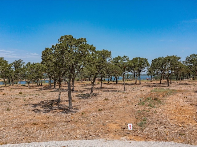 Listing photo 3 for Lot9 Choate, Bowie TX 76230