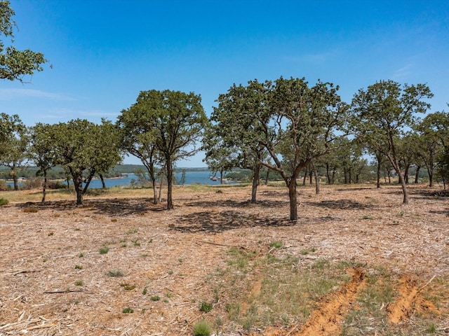 Listing photo 3 for LOT11 Choate, Bowie TX 76230