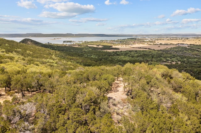 1271 Plateau Pl, Graford TX, 76449 land for sale