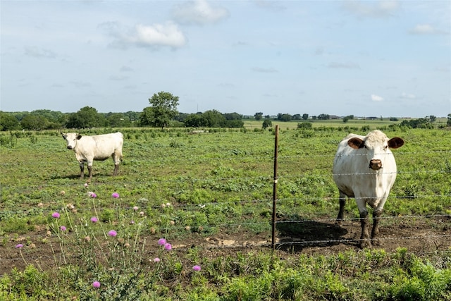 Listing photo 3 for LOT2TBD Private Road 415, Covington TX 76636