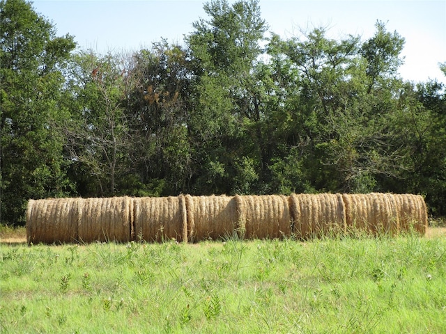 TBD County Rd 1082, Celeste TX, 75423 land for sale