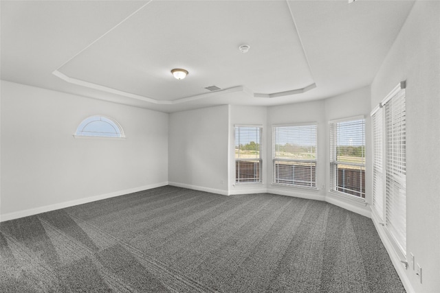 carpeted spare room featuring a tray ceiling