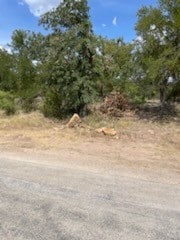 0000 Janda Ln, Brownwood TX, 76801 land for sale