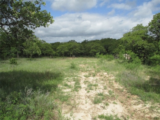 35ac Two Bush, Perrin TX, 76486 land for sale