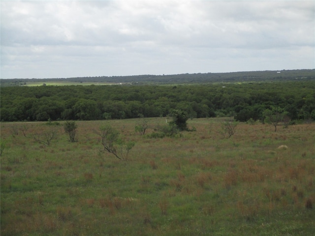 Listing photo 2 for 35ac Two Bush, Perrin TX 76486