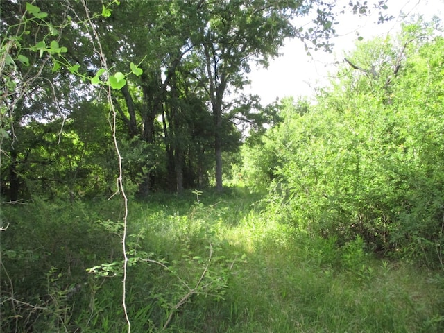 Listing photo 2 for 45ac Two Bush, Perrin TX 76486