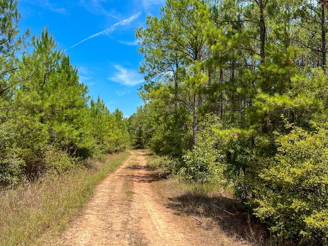 0 Lost Indian Camp Rd, Huntsville TX, 77320 land for sale