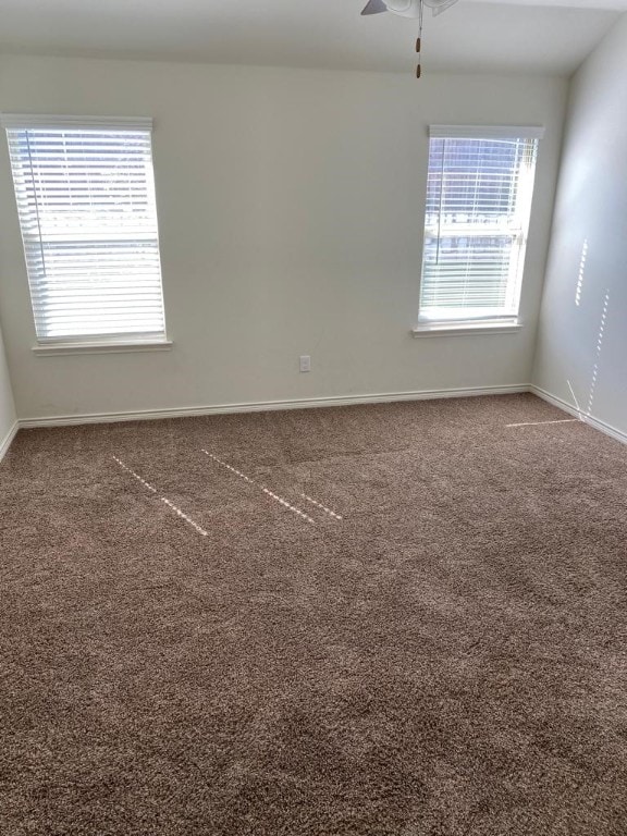 spare room featuring ceiling fan, a wealth of natural light, and carpet