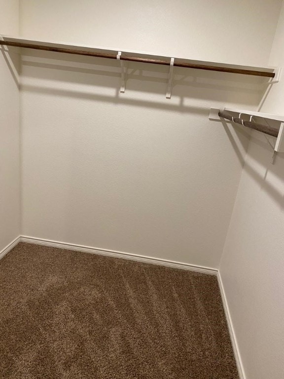 walk in closet featuring carpet flooring