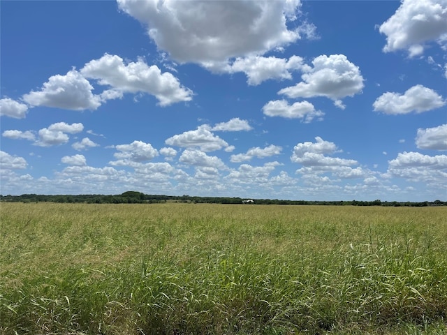 1000 Hobbs Ln, Robinson TX, 76706 land for sale