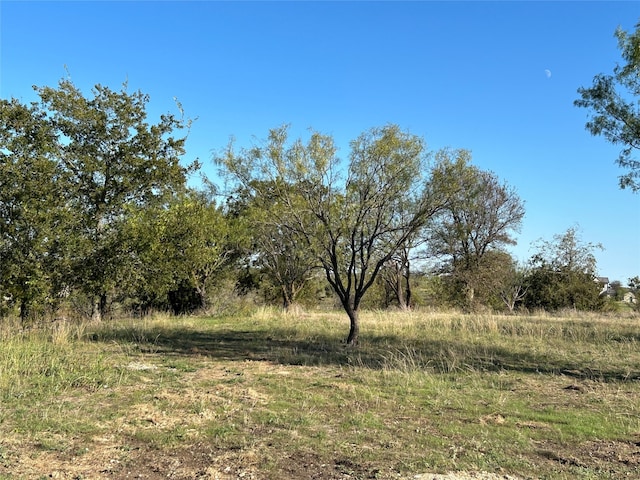 Listing photo 3 for 2015 Hidden Bluff Dr, Aledo TX 76008