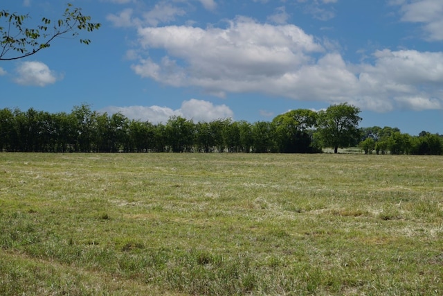 Listing photo 3 for TBD Cr 318, Caldwell TX 77836