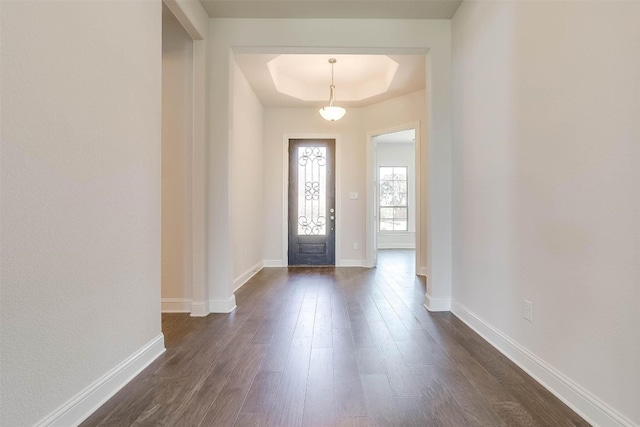 foyer with a raised ceiling and dark hardwood / wood-style flooring