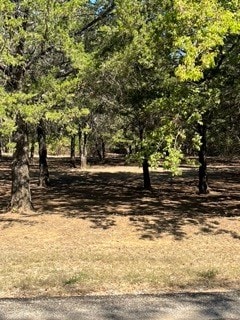 4747 County Road 2900, Dodd City TX, 75438 land for sale