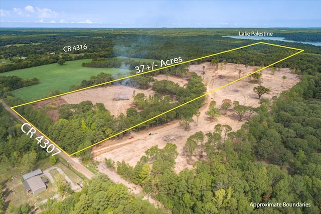 TRACT1-TBD County Road 4307, Larue TX, 75770 land for sale