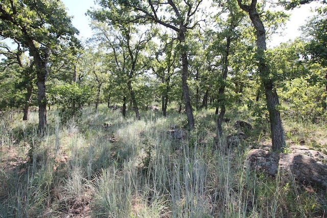 LOT265 Ridgeline Dr, Chico TX, 76431 land for sale