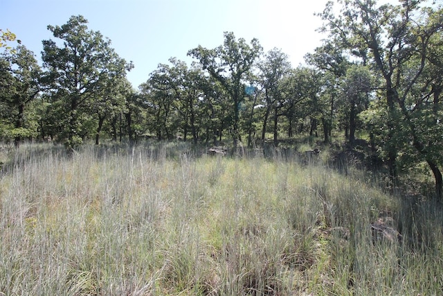 Listing photo 2 for LOT265 Ridgeline Dr, Chico TX 76431