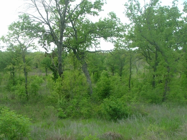 Listing photo 2 for LOT384 Moonlight Bay Dr, Chico TX 76431