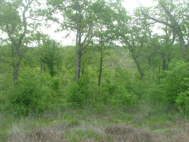 Listing photo 3 for LOT384 Moonlight Bay Dr, Chico TX 76431