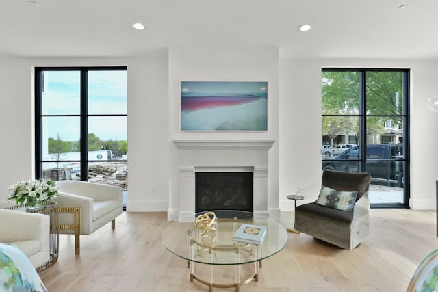 living area with light wood-type flooring