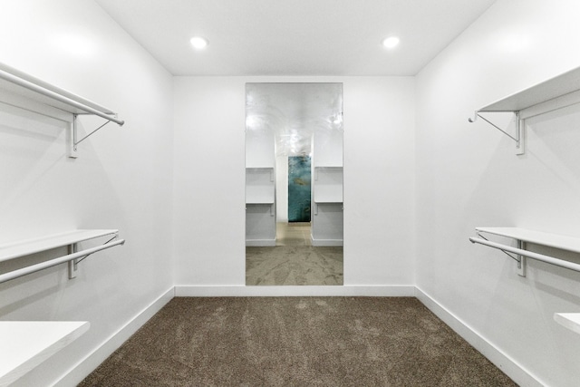 spacious closet featuring light colored carpet