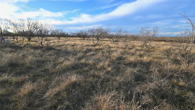 Listing photo 2 for 3576 Gray Rd, Nocona TX 76255