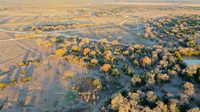 Listing photo 3 for LOT11 New Hope Rd, Palo Pinto TX 76474