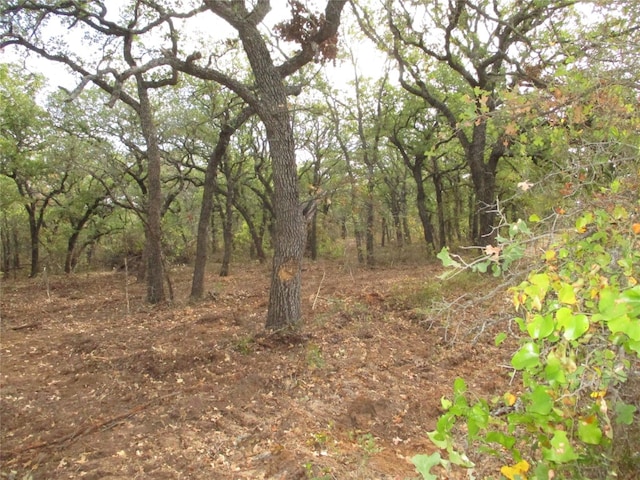 TR4 N Mason, Perrin TX, 78486 land for sale