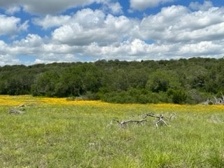 Listing photo 3 for 128 Fm 2492, Brownwood TX 76801