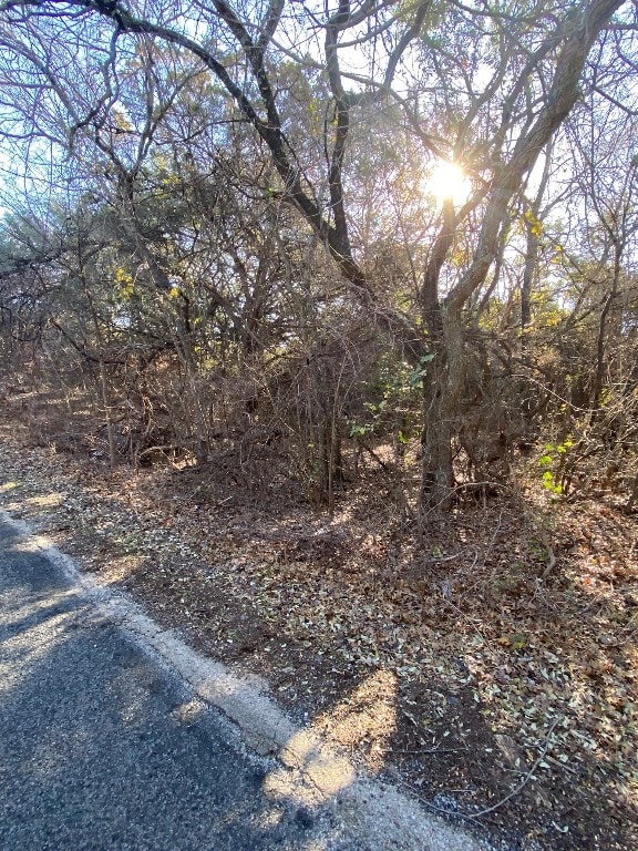 Listing photo 3 for 1413 S Chisholm Trl, Granbury TX 76048