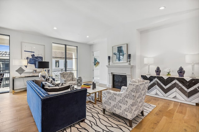 living room featuring light hardwood / wood-style floors