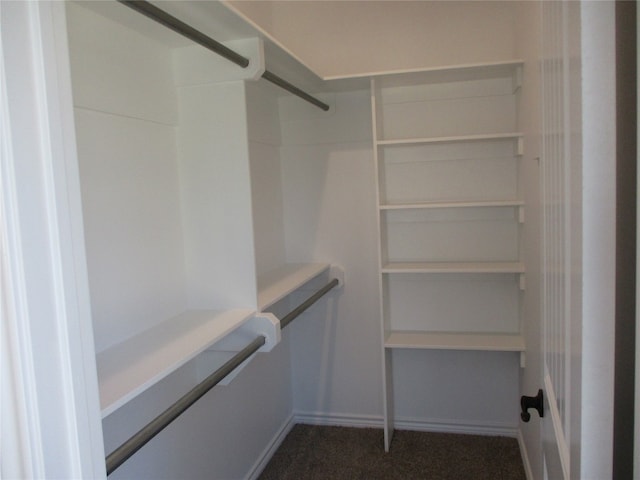 spacious closet with dark colored carpet