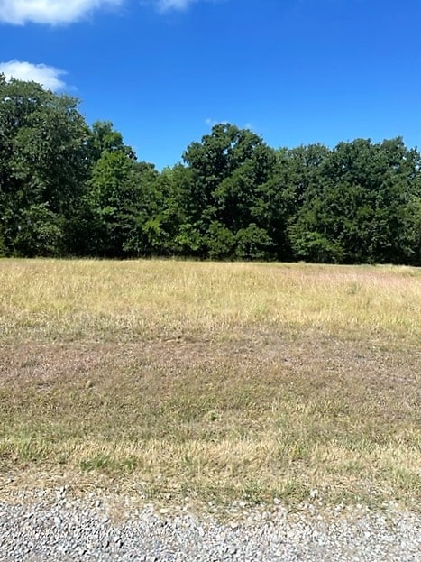 14046 Whatley Dr, Streetman TX, 75859 land for sale