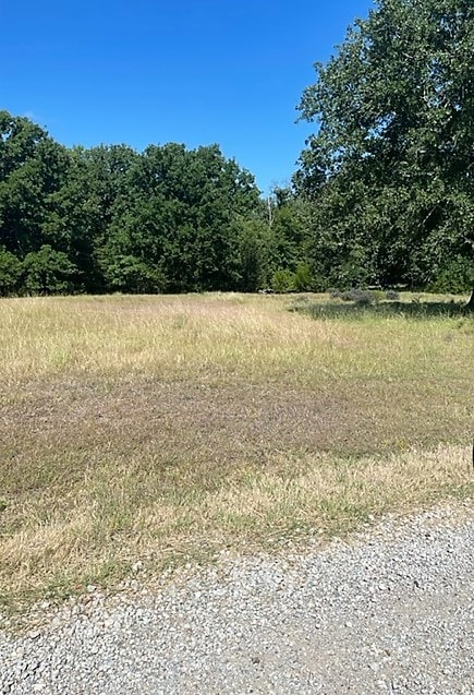 Listing photo 2 for 14046 Whatley Dr, Streetman TX 75859