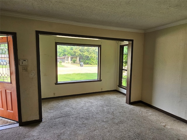 carpeted empty room with a textured ceiling, a wealth of natural light, and ornamental molding