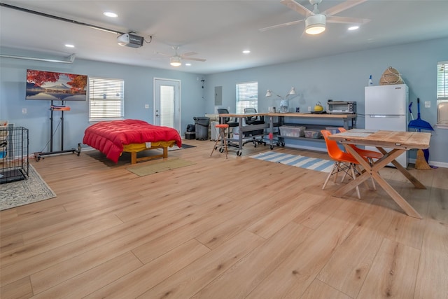 bedroom with light hardwood / wood-style flooring, electric panel, ceiling fan, and white fridge