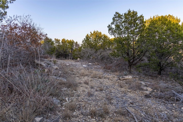 4655 Skyline, Bluff Dale TX, 76433 land for sale