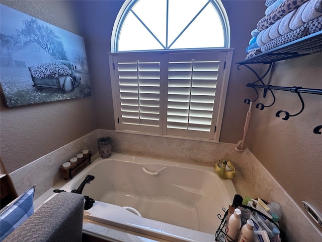 bathroom with a healthy amount of sunlight and a washtub