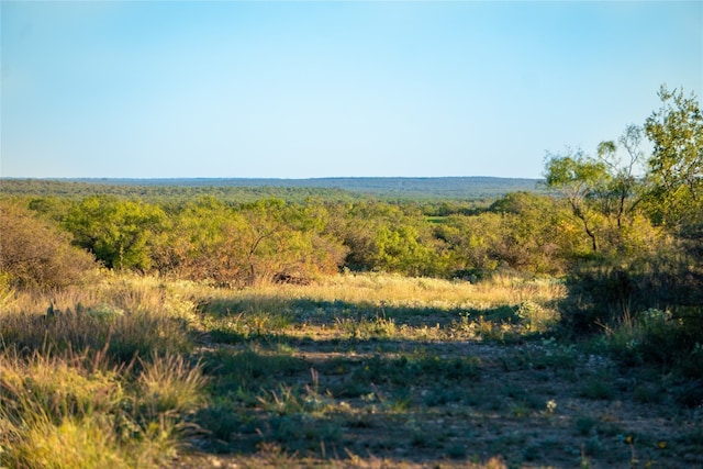 N/A Fm 1929, Voss TX, 76888 land for sale