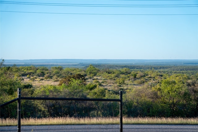 Listing photo 3 for N/A Fm 1929, Voss TX 76888