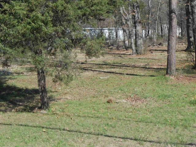 Listing photo 3 for 6425 Lamar Rd, Reno TX 75462