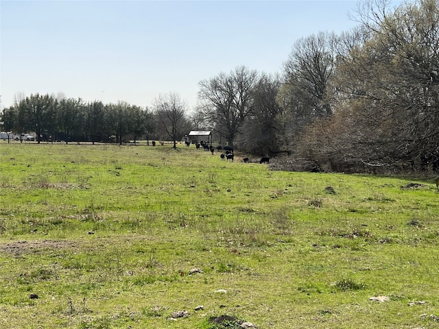 Listing photo 3 for 2.9ac Lewis, Crandall TX 75114