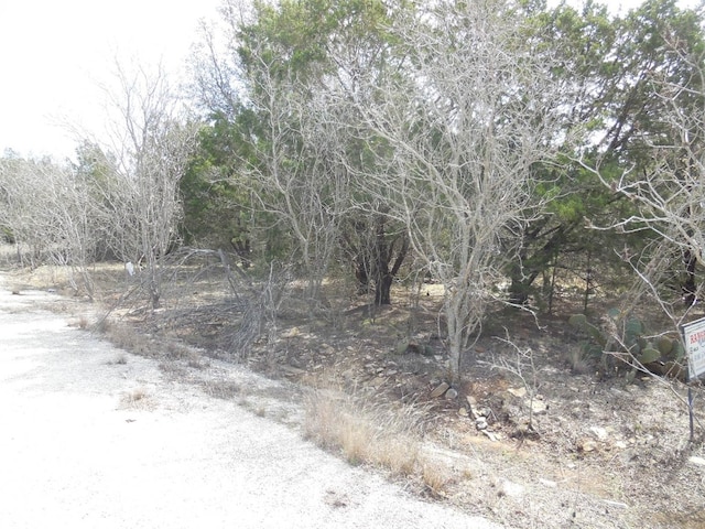 Listing photo 2 for LOT3-4 Southview Ln, Eastland TX 76448