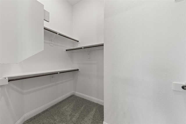 spacious closet with carpet