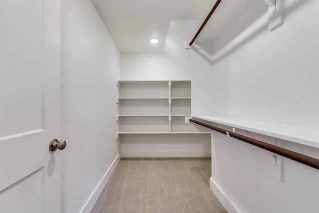 spacious closet featuring light carpet