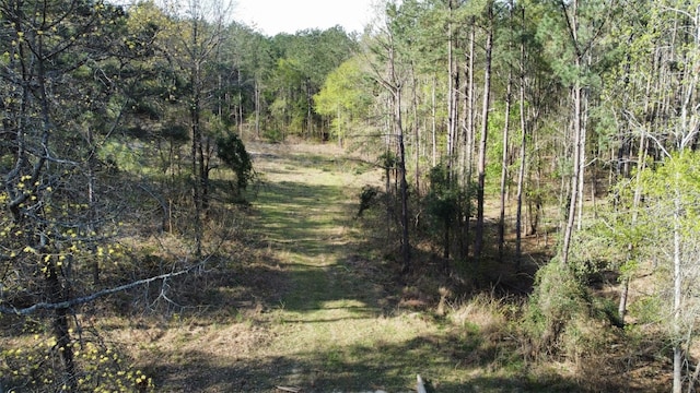 000 County Road 434, Lindale TX, 75771 land for sale