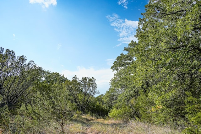 Listing photo 3 for TBD County Road 188 18, Stephenville TX 76401