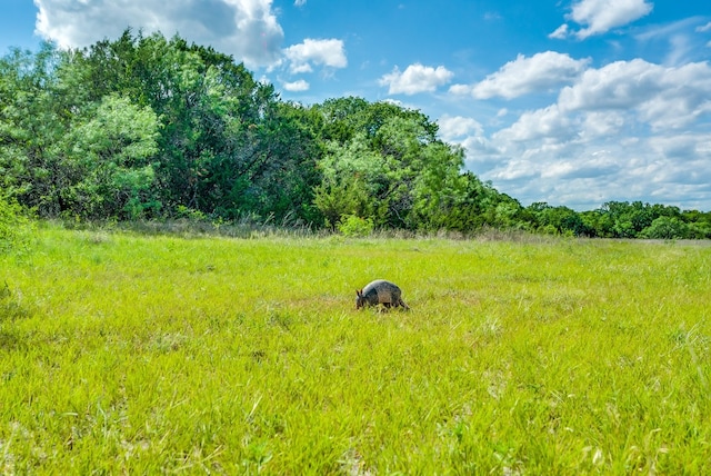 TBD County Road 175, Stephenville TX, 76401 land for sale