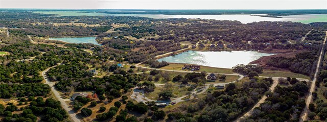 22292 Westmeadow Dr, Whitney TX, 76692 land for sale